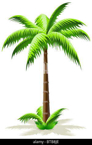 Green Palm Tree Icon avec grass isolated on white Banque D'Images