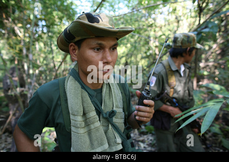 Union nationale karen (KNU) rebelles en Birmanie Banque D'Images