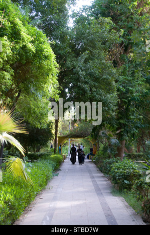 À la marche égyptiens Jardin Botanique d'Assouan situé dans la minuscule île El Nabatat ou Kitchener's Island l'une des deux grandes îles sur le Nil à Assouan Egypte aux environs de Banque D'Images