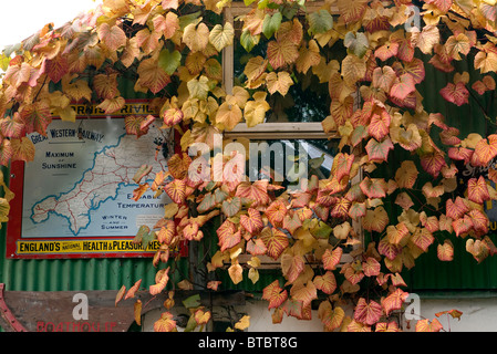 Great Western vieux chemins tin site sur le mur recouvert de feuilles en automne. Banque D'Images