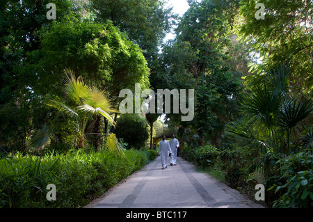 À la marche égyptiens Jardin Botanique d'Assouan situé dans la minuscule île El Nabatat ou Kitchener's Island l'une des deux grandes îles sur le Nil à Assouan Egypte aux environs de Banque D'Images