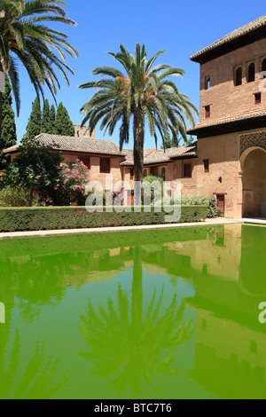 Sala de las Dos Hermanas et bains royaux à l'Alhambra à Grenade, Espagne Banque D'Images