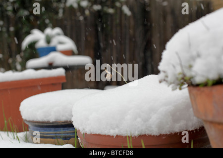 La neige a couvert les pots de fleurs au jardin Banque D'Images