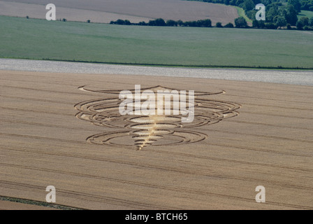 Crop Circle en milieu de champ de maïs en dessous de Pewsey Downs près d'Avebury. Le Wiltshire. L'Angleterre Banque D'Images