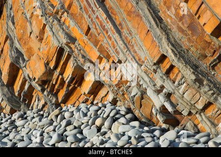 Falaises de grès du bouche de sable près de Bude, Cornwall, UK Banque D'Images