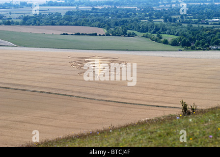 Crop Circle en milieu de champ de maïs en dessous de Pewsey Downs près d'Avebury. Le Wiltshire. L'Angleterre Banque D'Images