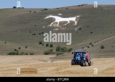 La mise en balles du tracteur dans le champ de foin sous cheval blanc sculpté dans la craie colline. Pewsey Alton Downs au près d'Avebury. Le Wiltshire. L'Angleterre Banque D'Images