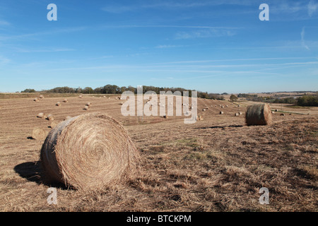 Domaine de ballots ronds de foin. L'Iowa Banque D'Images