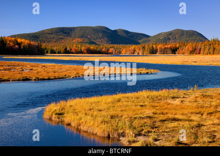 Bass Harbor Marsh en automne, Bass Harbor Maine USA Banque D'Images