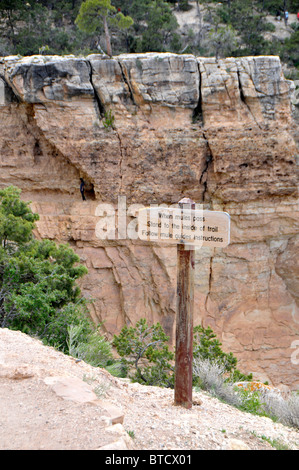 Inscrivez-mule Alerte sur Bright Angel Trail Grand Canyon National Park Arizona Banque D'Images