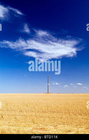 Les champs de blé au pays Australie avec une seule colonne d'alimentation et de nuages Banque D'Images