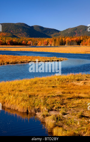 Bass Harbor Marsh en automne, Bass Harbor Maine USA Banque D'Images