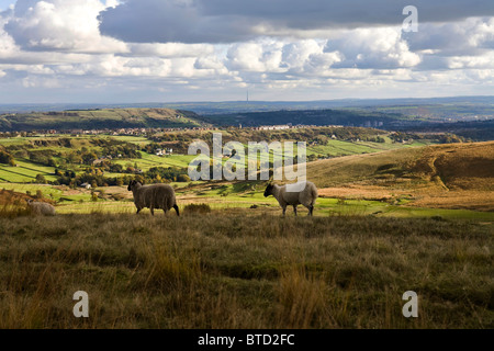 Ogden Valley, Nr Halifax, West Yorkshire, Royaume-Uni Banque D'Images