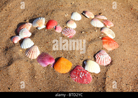 Symbole de cœur à partir de coquilles de mer sur la plage de sable Banque D'Images