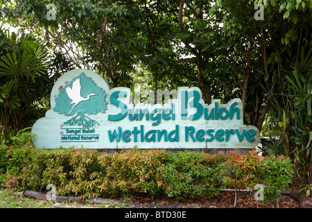 La réserve de Sungei Buloh, Singapour Banque D'Images
