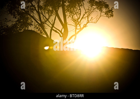 Spectaculaire coucher de soleil sur un paysage sombre torches Banque D'Images