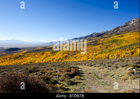 Montagnes alpines près des puits, le Nevada à l'automne avec Aspen or brillant sur les coteaux Banque D'Images