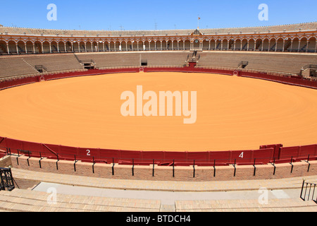 La Plaza de Toros (arènes) à Séville, Espagne Banque D'Images