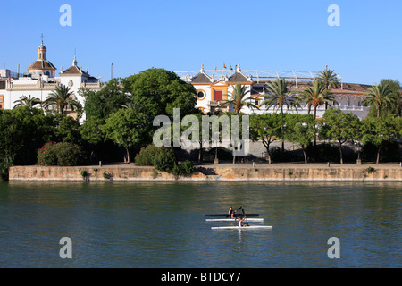 Plaza de Toros de la Torres de de Sevilla (arènes) à Séville, Espagne Banque D'Images