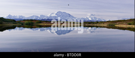 Vue panoramique de la partie nord de Mt. McKinley et l'Alaska vont de l'étang de réflexion, Denali National Park, Alaska Banque D'Images