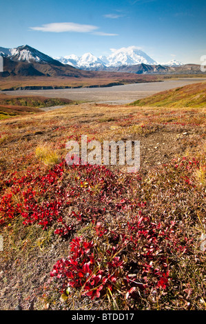 Vue du Mt. McKinley et toundra d'automne de l'Eielson Visitor Center dans le Parc National Denali et préserver, de l'Alaska Banque D'Images