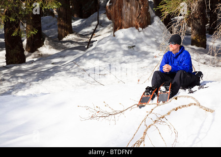 La raquette de l'homme repose sur la banque d'Andrews Creek dans le soleil, la Forêt nationale de Tongass dans Stikine-LeConte Wilderness, Alaska Banque D'Images