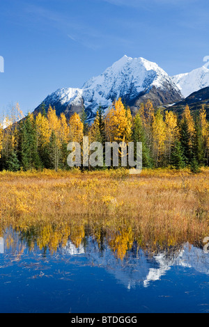 Feuillage d'automne se reflétant dans un étang alors que Paradise Peak est plafonné avec neige en arrière-plan de la péninsule de Kenai, Alaska Banque D'Images