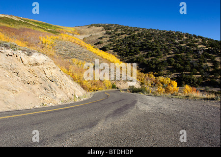 Montagnes alpines près des puits, le Nevada à l'automne avec Aspen or brillant sur les coteaux Banque D'Images