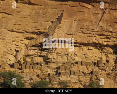 Cliff dwellings le long de la base de la falaise de Bandiagara Banque D'Images