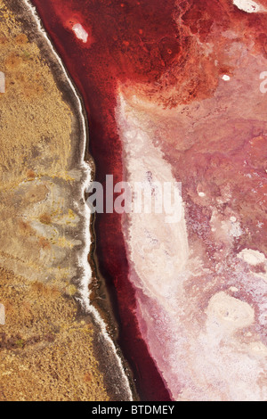 Vue aérienne du lac Magadi. Salt Flats sont parfois rouge en raison de la prolifération de halobactéries. La Vallée du Rift au Kenya Banque D'Images