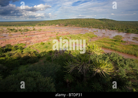 Une vue panoramique de l'Olifants River de camp Olifants dans le Kruger Park Banque D'Images