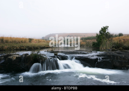 Highveld Un ruisseau coule rapidement sur les rochers et la création d'une petite cascade Banque D'Images