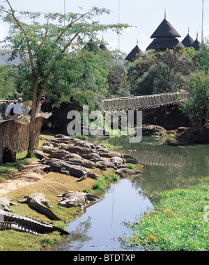 Jardins Kwena Crocodile Farm à Sun City Banque D'Images