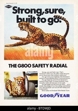 Publicité pour les pneus radiaux Goodyear G800 dans le magazine en date du 1er Décembre 1970 Banque D'Images