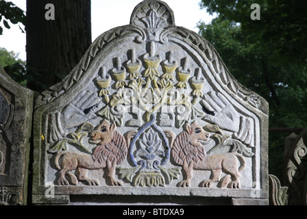 5493. Romain, la Moldavie, la Roumanie. Cimetière juif datant de la ème majestueux C. Banque D'Images