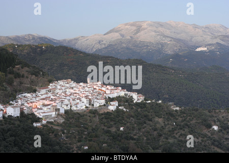 Vue d'un village blanc, Algatocin, niché dans les collines de la Serrania de Ronda, Andalousie, Espagne Banque D'Images