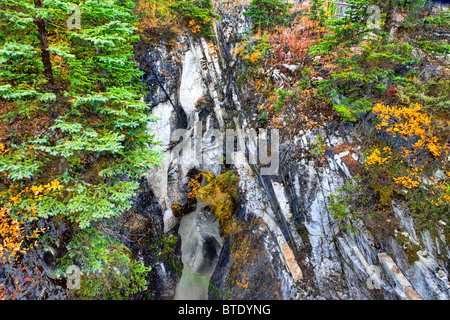 En Canyon, le Parc National de Kootenay, Alberta, Canada Banque D'Images