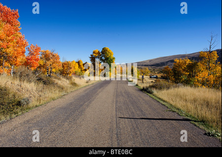 Couleurs d'automne nord du Nevada, trembles le tournant d'or, route qui serpente à travers le tremble sur la manière d'Angel lake Banque D'Images