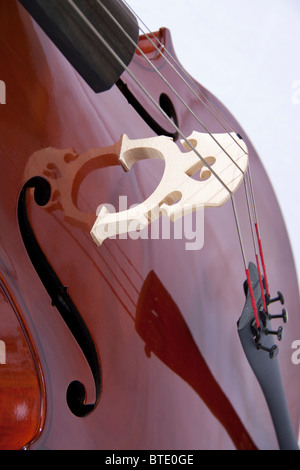 Close up de Cordes de violoncelle Banque D'Images