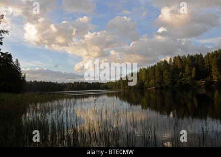 Vue sur un lac et forêt près de Laitila, l'ouest de la Finlande Banque D'Images