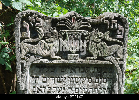 5493. Romain, la Moldavie, la Roumanie. Cimetière juif datant de la ème majestueux C. Banque D'Images