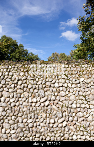 Norfolk traditionnel silex knapped mur frontalier et d'un ciel d'été à Norfolk, East Anglia, Angleterre Banque D'Images