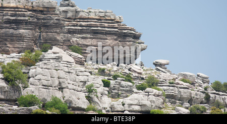 Les roches calcaire érodé à la Réserve Naturelle de El Torcal, Andalousie, Espagne Banque D'Images