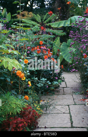 Dahlias rouge et violet verveine bonariensis avec palm banane dans les bordures de chaque côté du chemin pavé dans le jardin d'été Banque D'Images