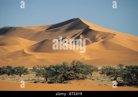 Les grandes dunes de sable du désert du Namib Sossusvlei dans le Banque D'Images