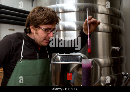 L'homme à l'aide d'un hydromètre pour mesurer la gravité spécifique de vin rouge dans une usine de fabrication du vin en Espagne Banque D'Images