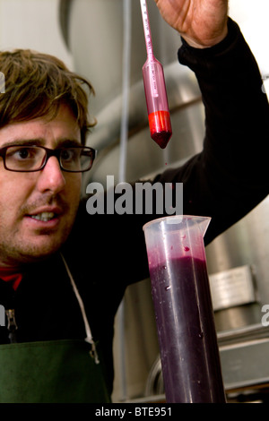 L'homme à l'aide d'un hydromètre pour mesurer la gravité spécifique de vin rouge dans une usine de fabrication du vin en Espagne Banque D'Images