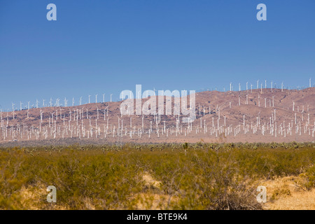 Éoliennes à wind farm - Col San Gorgonio, Palm Springs, Californie, USA Banque D'Images