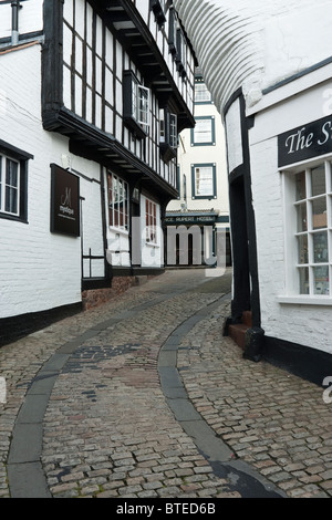 Poisson 'Rue' à Shrewsbury Shropshire Banque D'Images