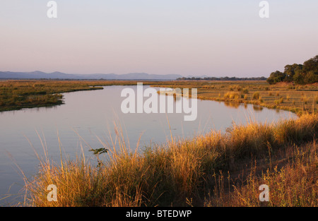 Les banques du fleuve Zambèze long avec de l'herbe sèche et l'eau s'écoule par Banque D'Images